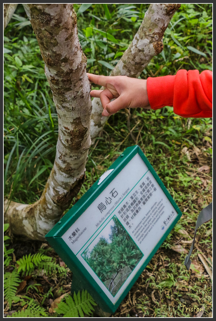 IMG_1374-2.jpg - 20160122 南仁湖、墾丁