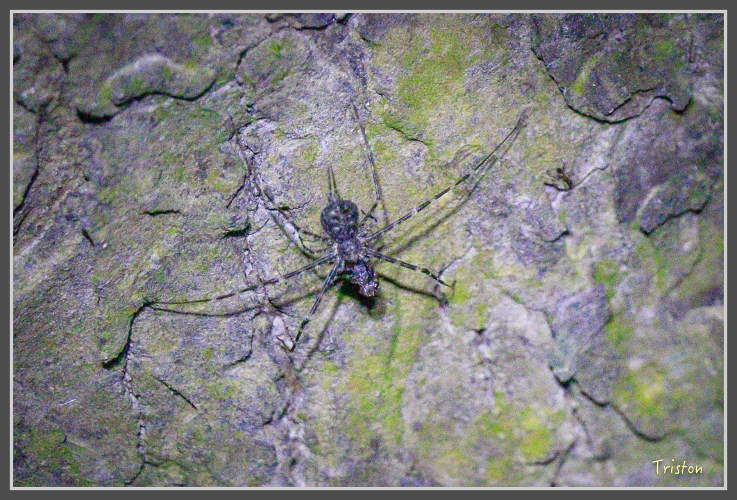 _MG_9230.jpg - 20160717 峰老師夜觀