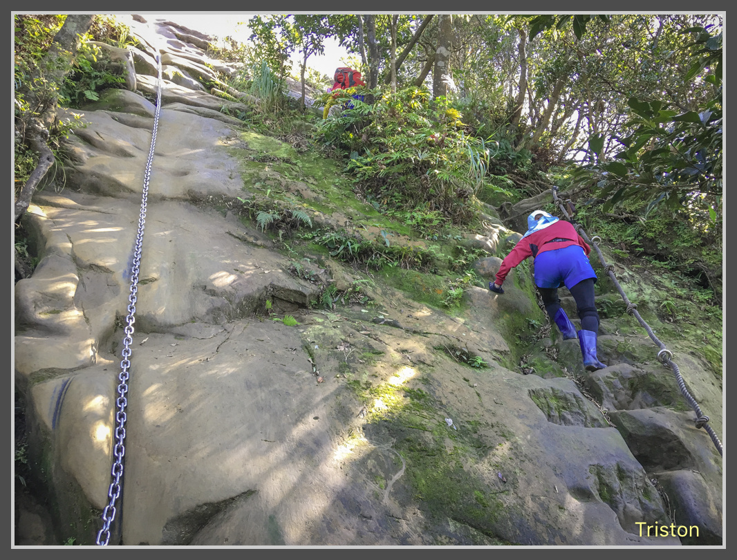 IMG_5525.jpg - 201161113 皇帝殿東西峰