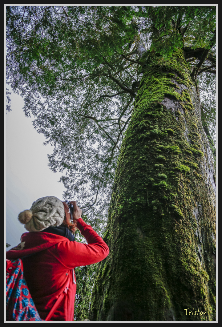 0077.jpg - 20161231 明池 神木園