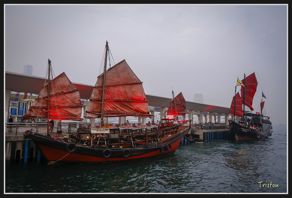 00233.jpg - 20170107 香港健行