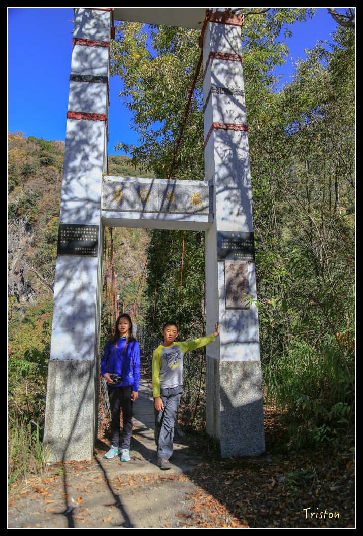 JH1A0570.jpg - 20151205 合歡溪步道、108K楓之谷