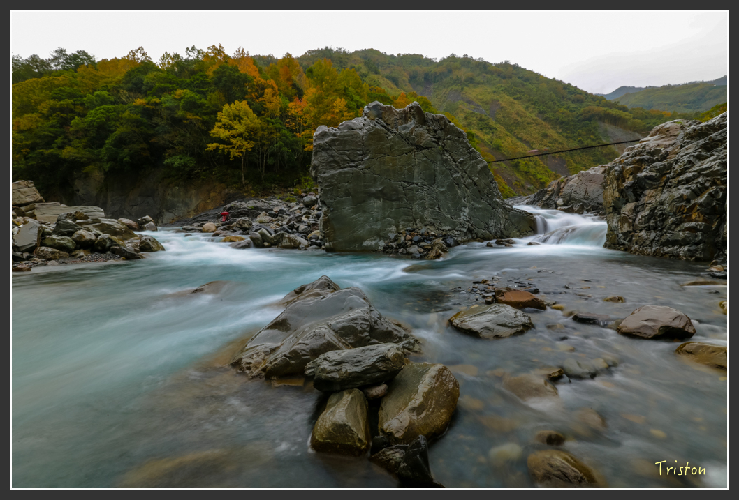 JH1A1150.jpg - 20151221 新竹秀巒賞楓