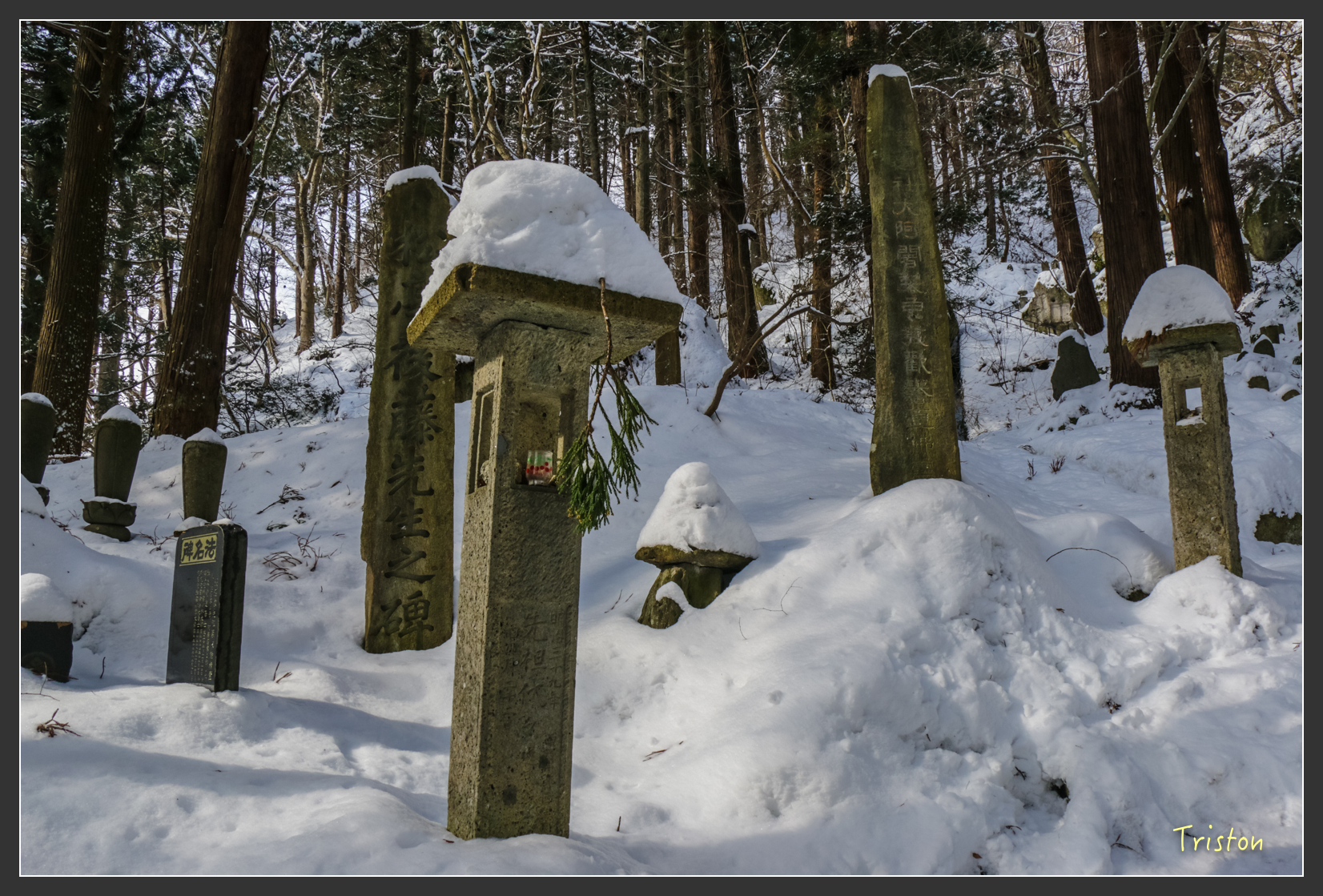 2016ZAO-00666.jpg - 20160131 日本藏王溫泉滑雪親子行
