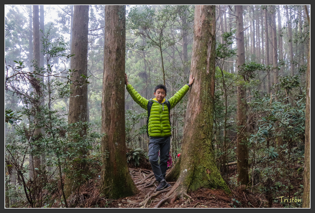IMG_3446.jpg - 20160227 觀霧森林步道