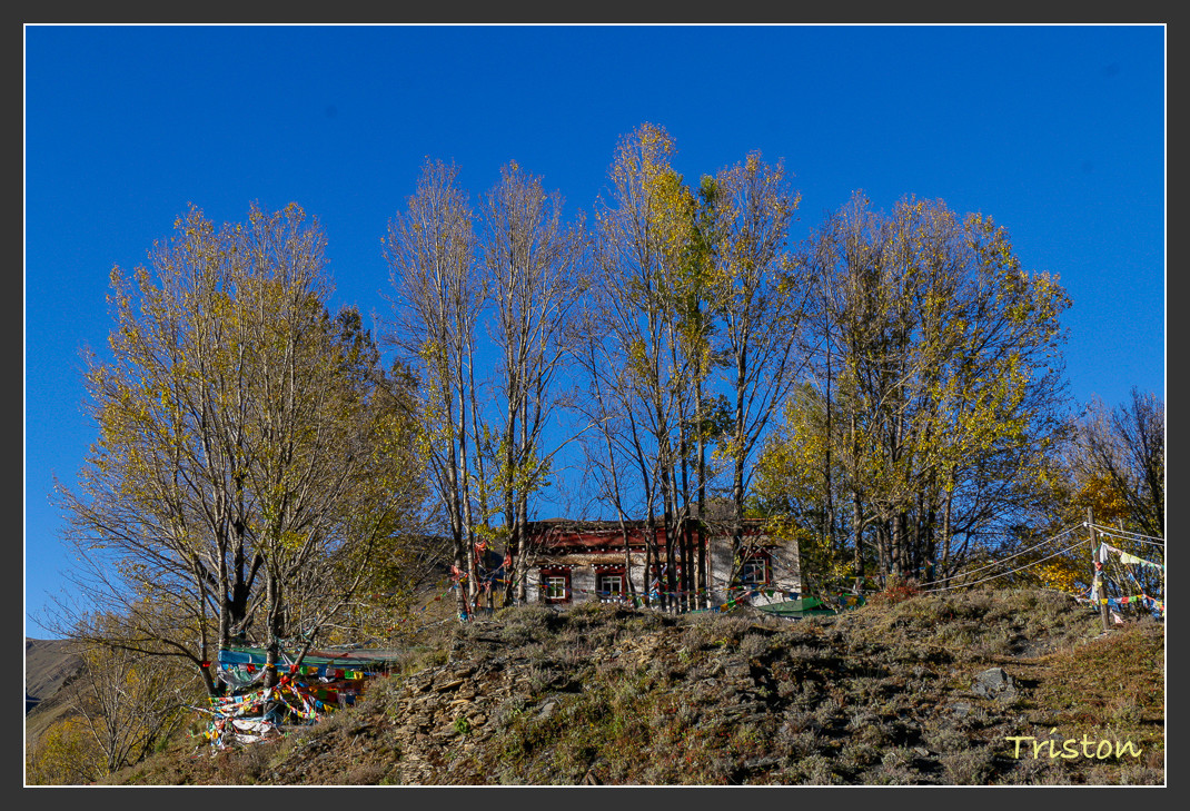 _MG_2567.jpg - 20161013 稻城亞丁