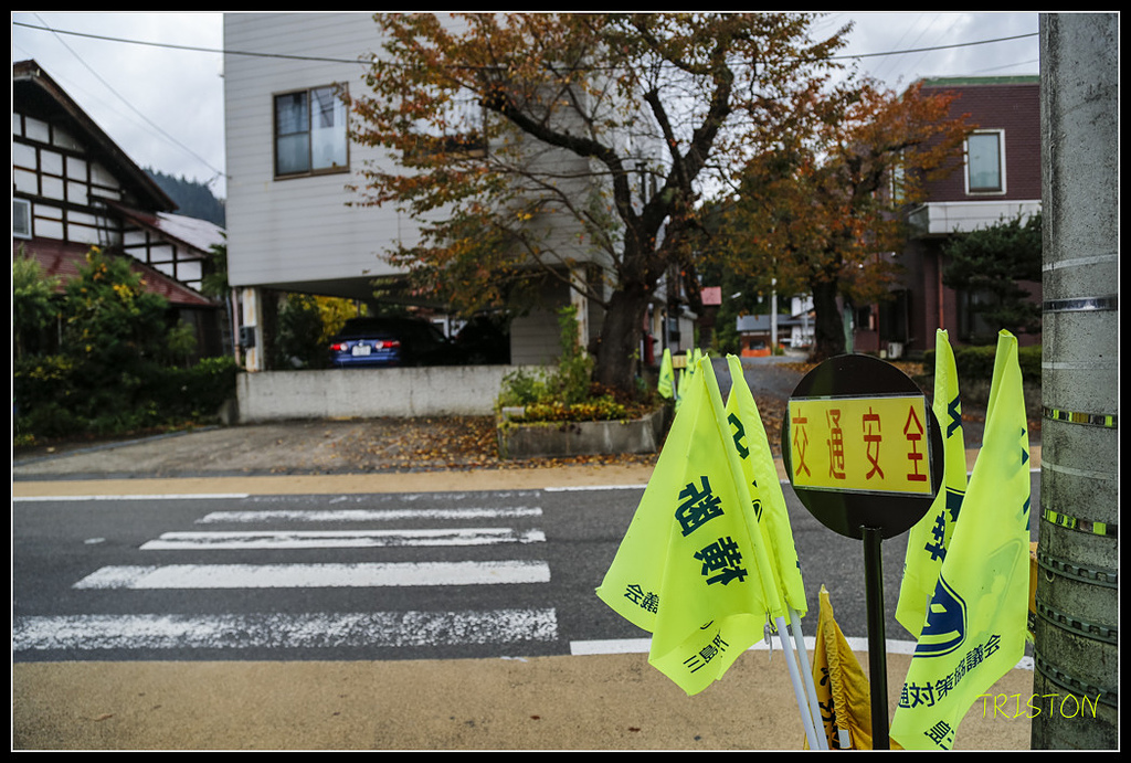 _H1A0688.jpg - 20171103 日本只見線、會津若松五色沼、昭和記念公園賞紅葉