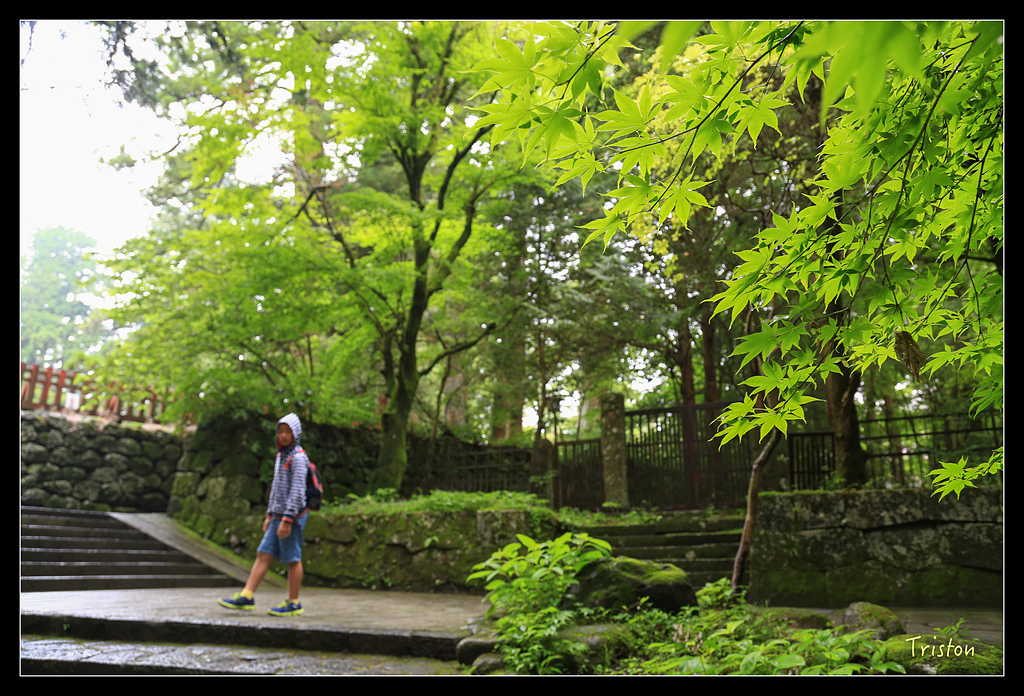 JH1A9935.jpg - 20150628 東京輕井澤日光