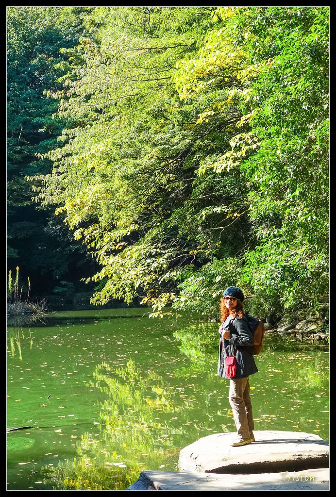 DSC00211.jpg - 20151031 秋天的童話-貴婦東京輕井澤紀行