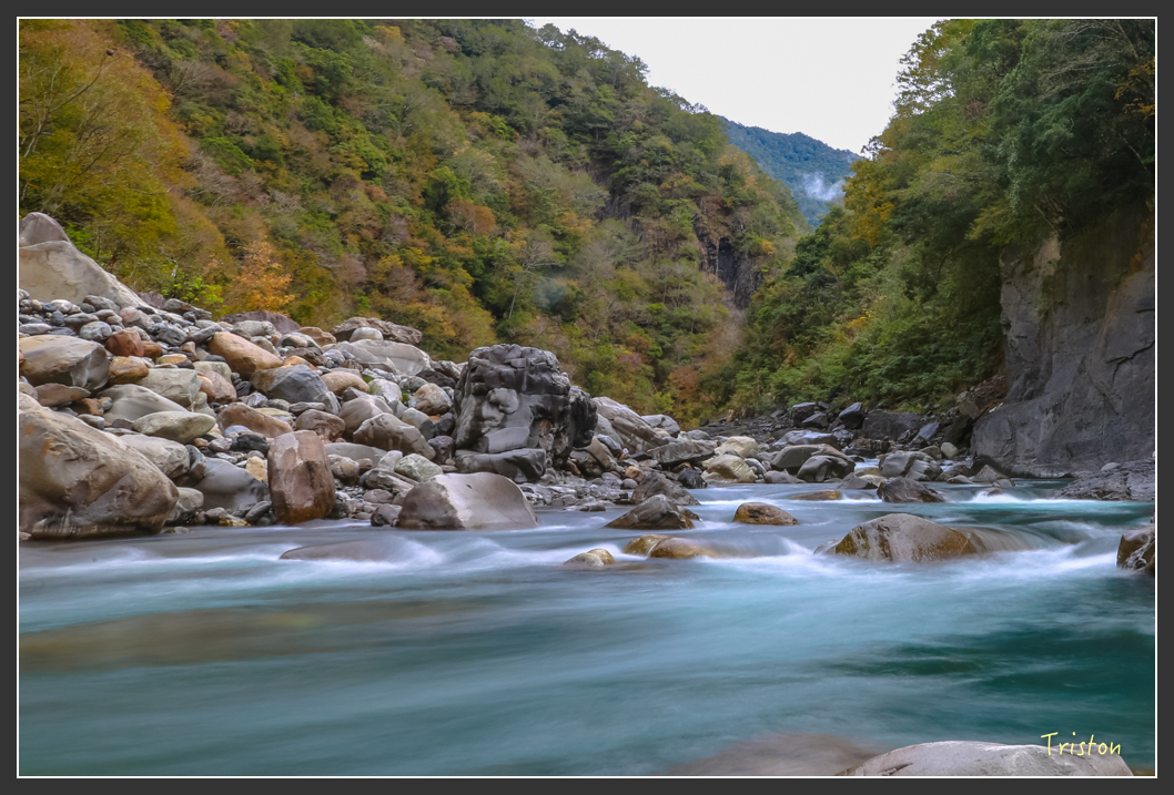 JH1A1263.jpg - 20151221 新竹秀巒賞楓