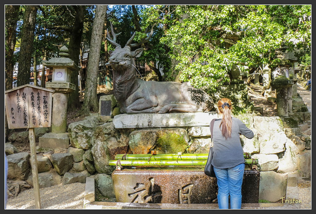 IMG_4047.jpg - 20160323 日本熊野古道健行