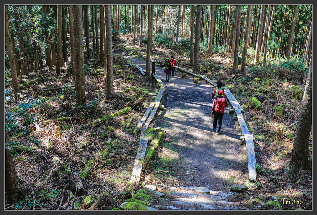IMG_5050.jpg - 20160323 日本熊野古道健行
