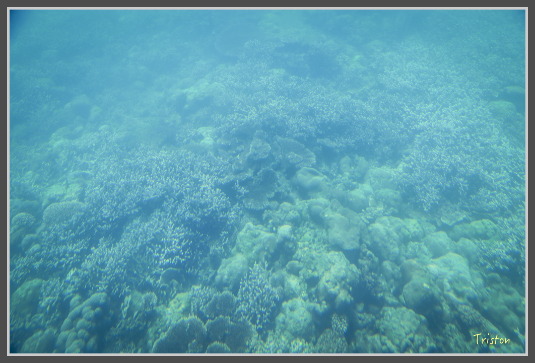 JH1A1073.jpg - 20160701 澎湖