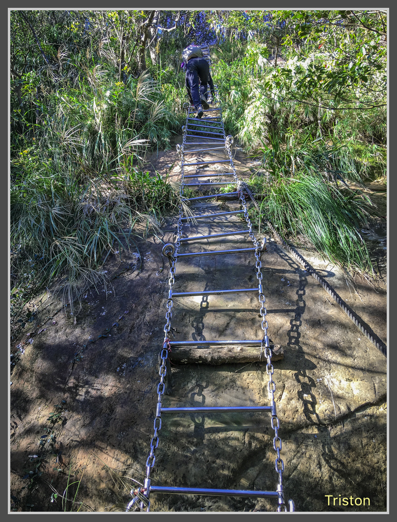 IMG_7997.jpg - 201161113 皇帝殿東西峰