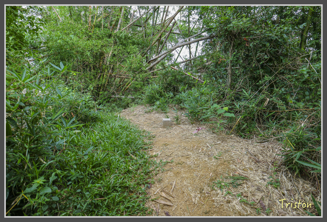 IMG_1922.jpg - 20161130 高雄旗尾山