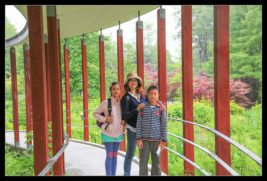 JH1A9545.jpg - 20150628 東京輕井澤日光