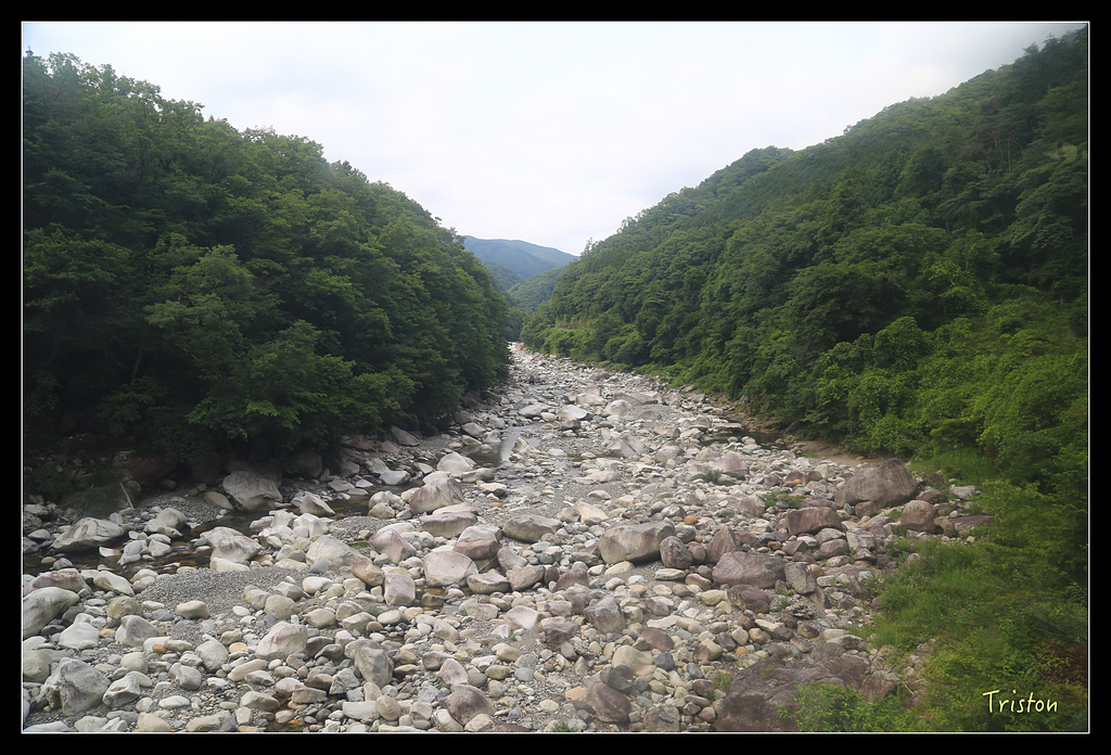 JH1A9850.jpg - 20150628 東京輕井澤日光