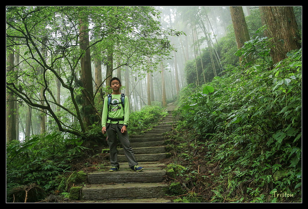 JH1A9791.jpg - 20150920 石棹,霧之道 茶之道 雲之道