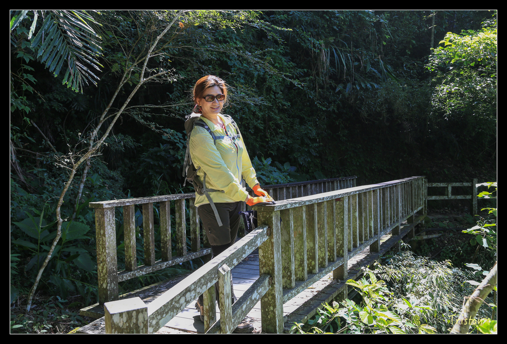 JH1A9833.jpg - 20151005 竹坑溪步道