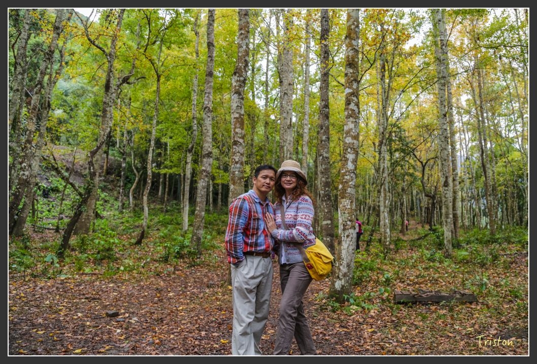 JH1A1190.jpg - 20151221 新竹秀巒賞楓