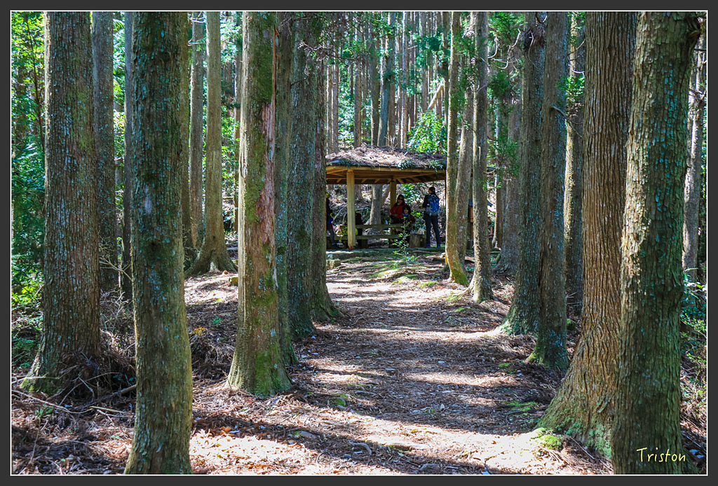 IMG_5121.jpg - 20160323 日本熊野古道健行