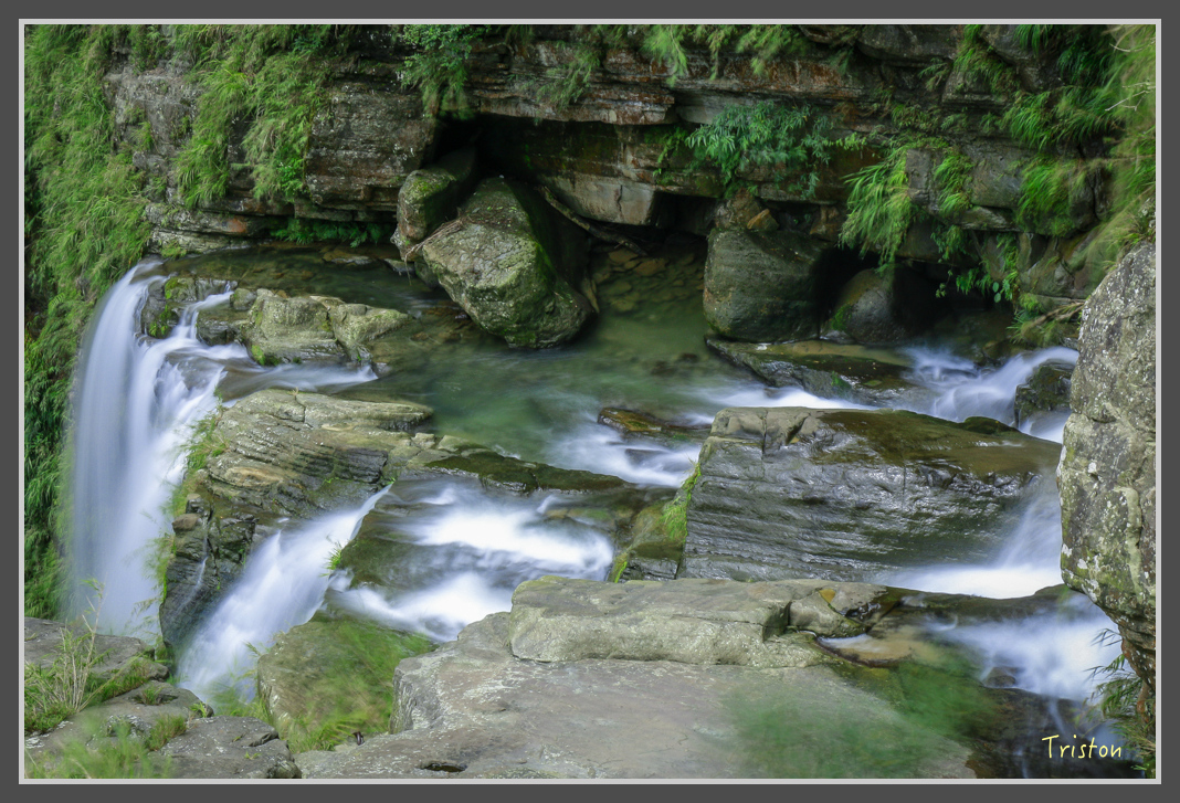 _MG_8763.jpg - 20160622 圓潭、雲潭、水社寮車站