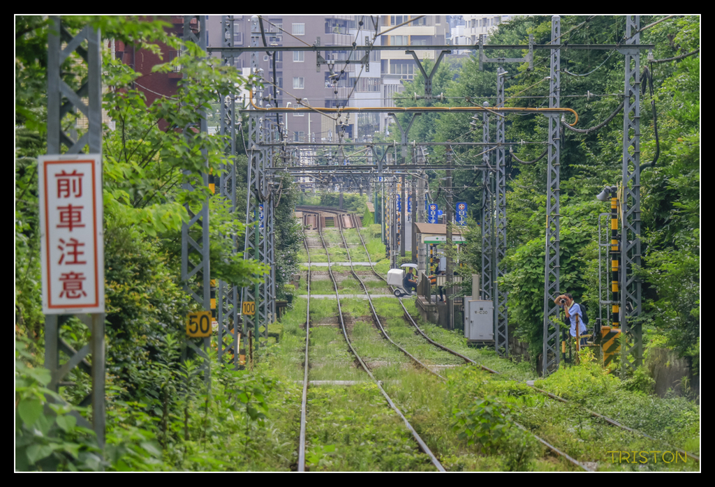 _MG_1792.jpg - 20170702 靜岡東海道之旅