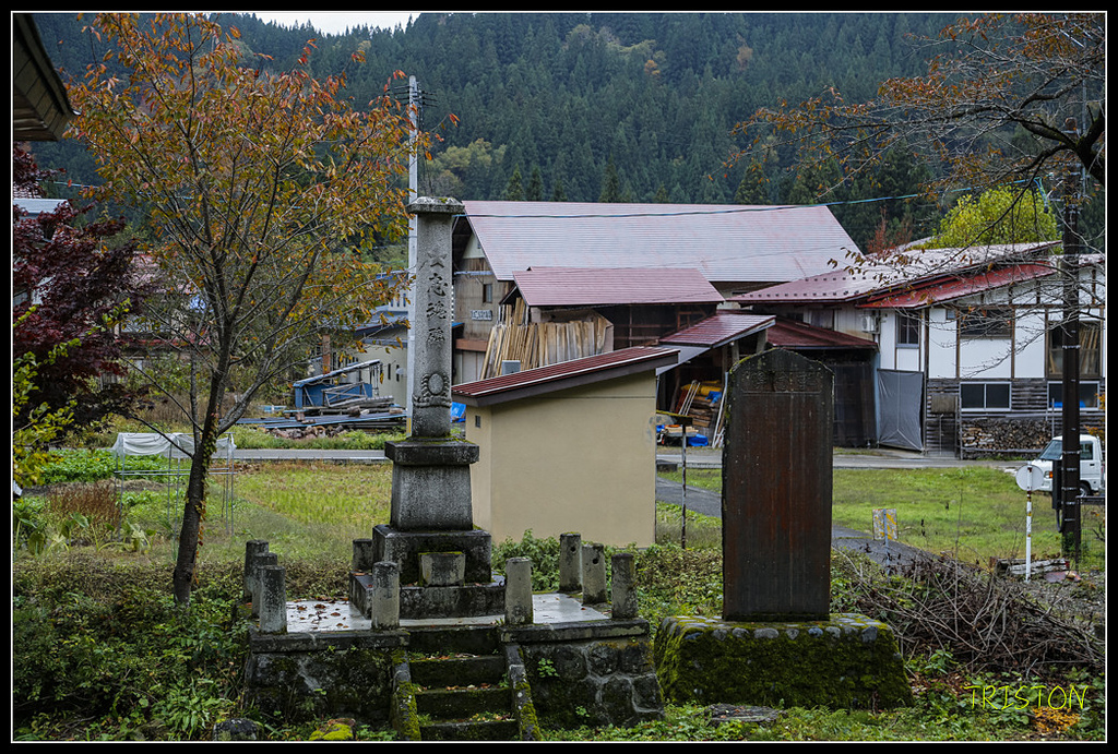 _H1A0732.jpg - 20171103 日本只見線、會津若松五色沼、昭和記念公園賞紅葉