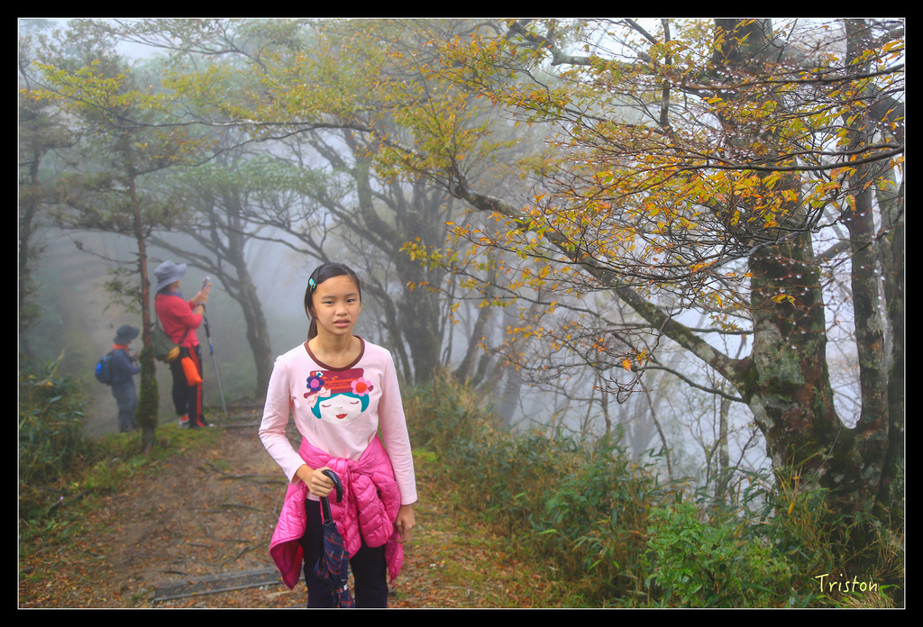 JH1A0215.jpg - 20151024~25 幾米公園、翠峰湖、翠峰山屋、望洋山步道、山毛櫸步道
