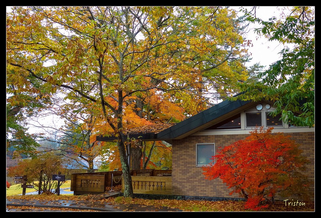 DSC00240.jpg - 20151031 秋天的童話-貴婦東京輕井澤紀行