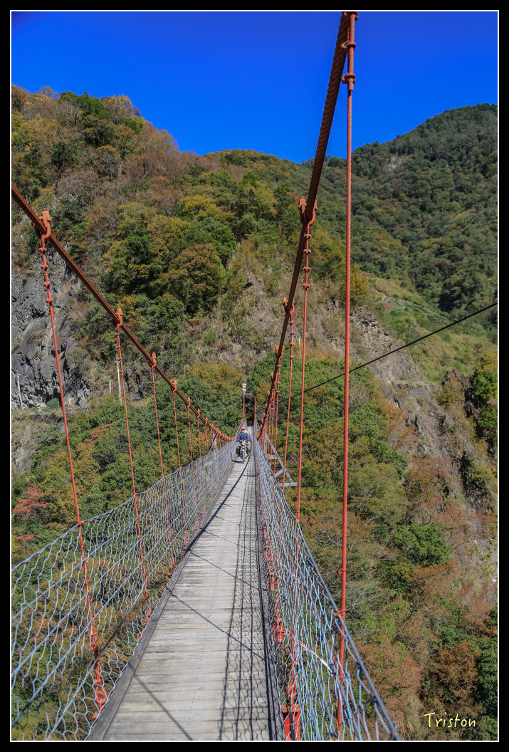 JH1A0573.jpg - 20151205 合歡溪步道、108K楓之谷