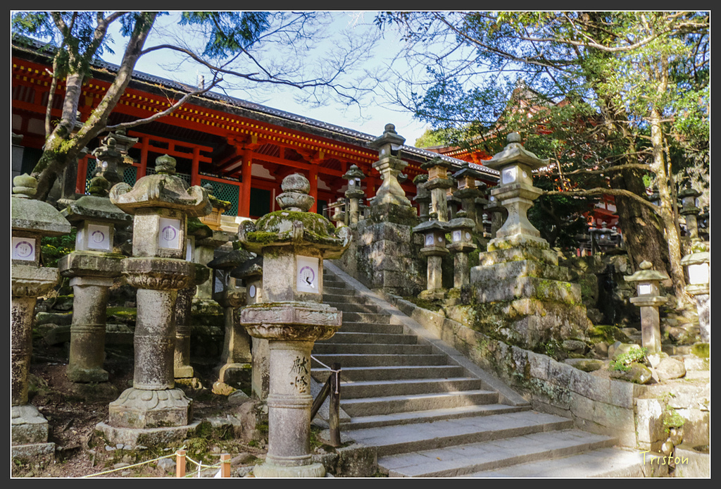 IMG_4053.jpg - 20160323 日本熊野古道健行