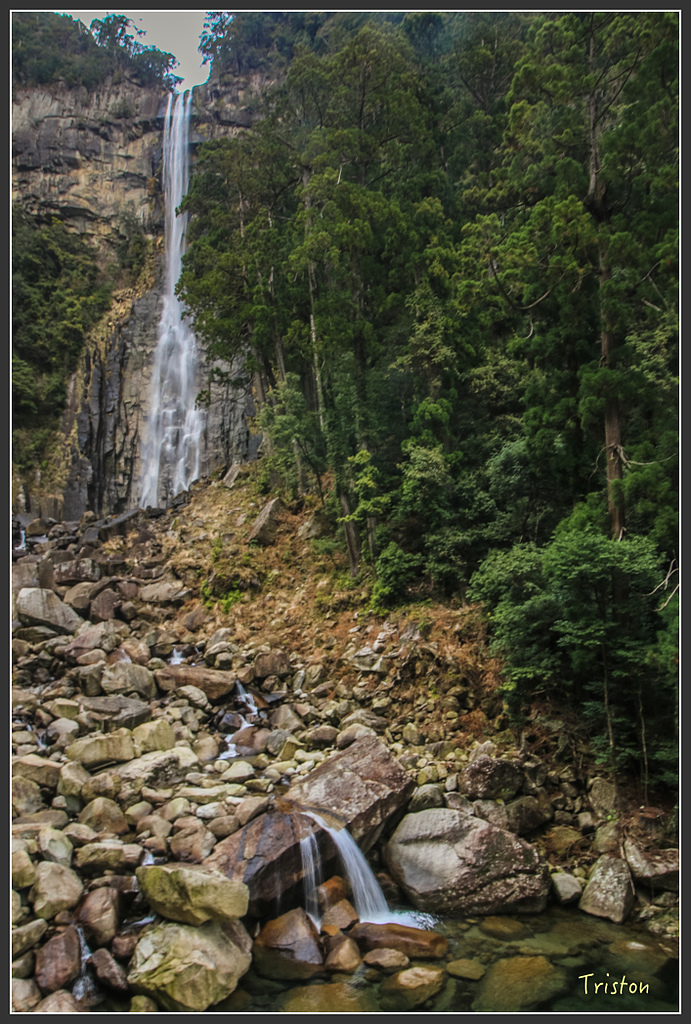 IMG_5708.jpg - 20160323 日本熊野古道健行