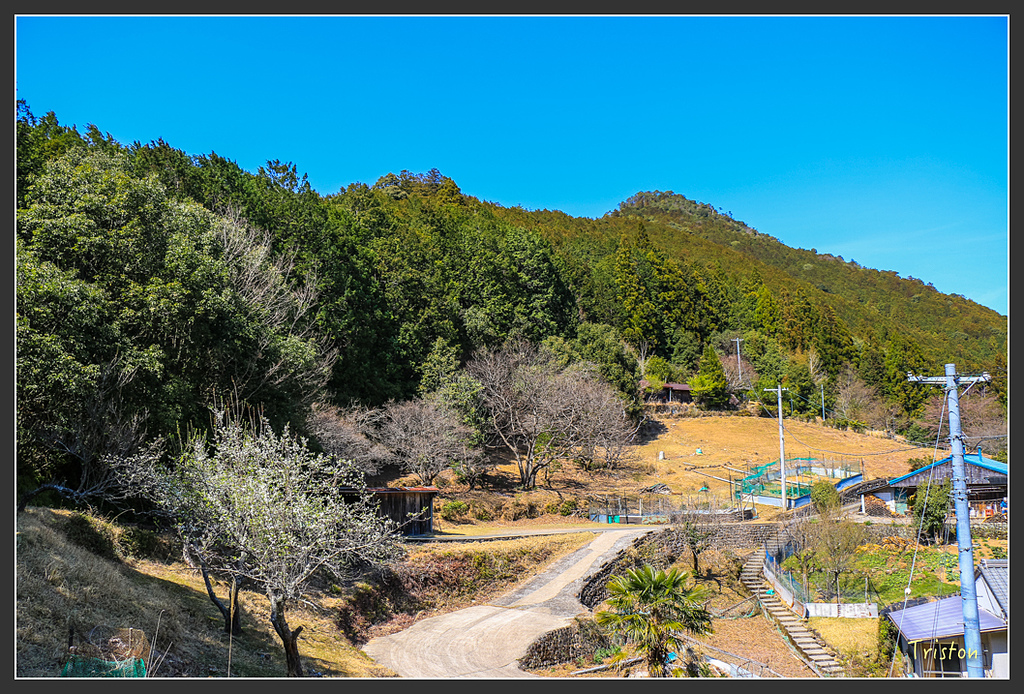 IMG_4817.jpg - 20160323 日本熊野古道健行