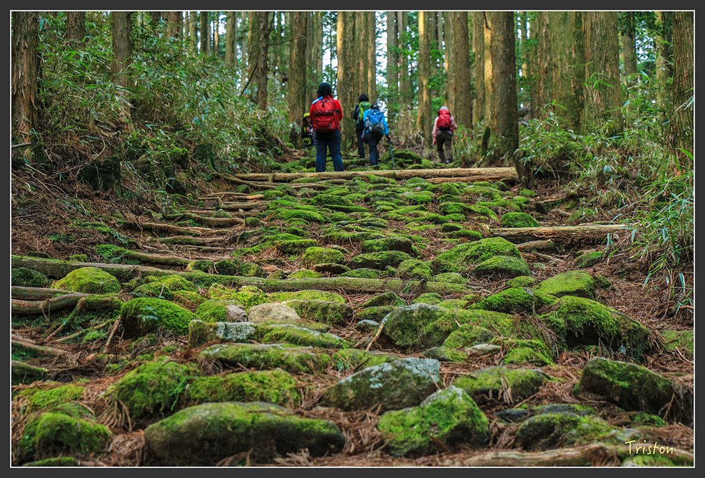 IMG_5435.jpg - 20160323 日本熊野古道健行
