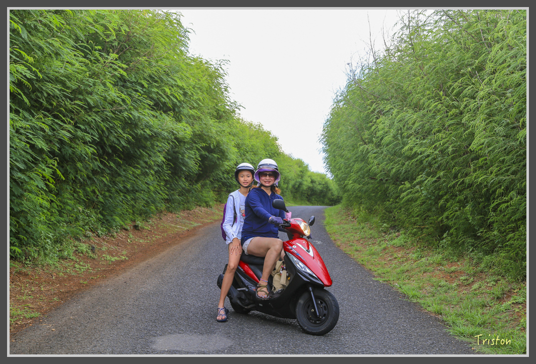 JH1A0845.jpg - 20160701 澎湖