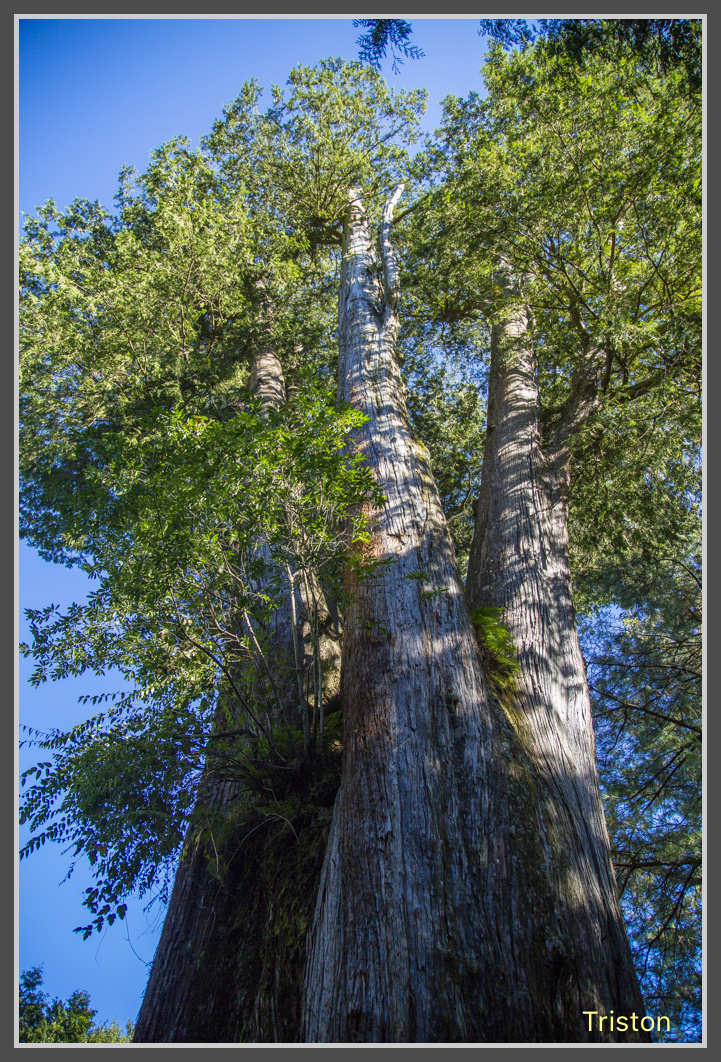 JH1A0241.jpg - 20161105 大雪山
