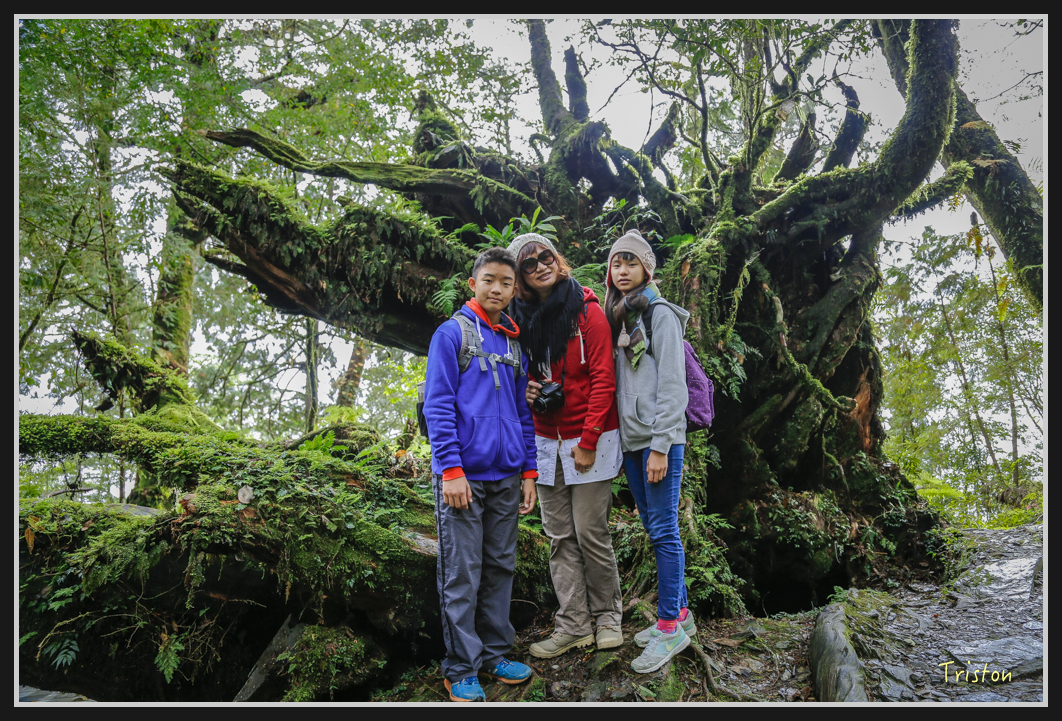 00112.jpg - 20161231 明池 神木園