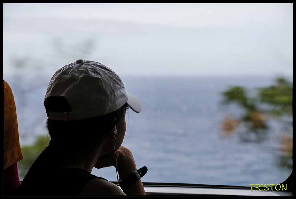 _H1A8521.jpg - 20171004 3671次藍皮普通車+鎮安車站