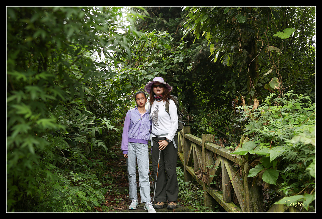 JH1A9720.jpg - 20150920 石棹,霧之道 茶之道 雲之道