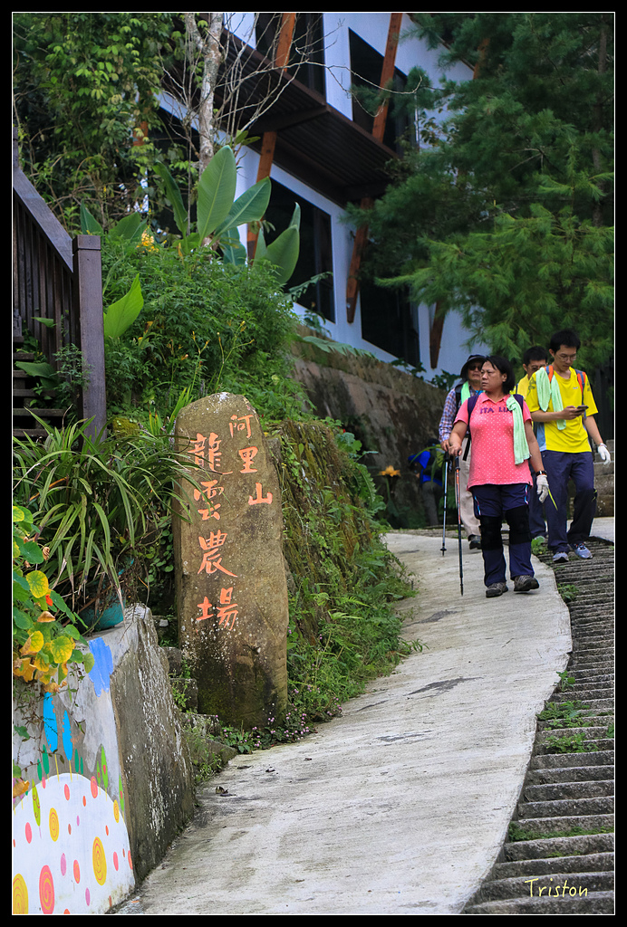 IMG_8381.jpg - 20150926 大凍山切霹靂山 抵龍雲山莊