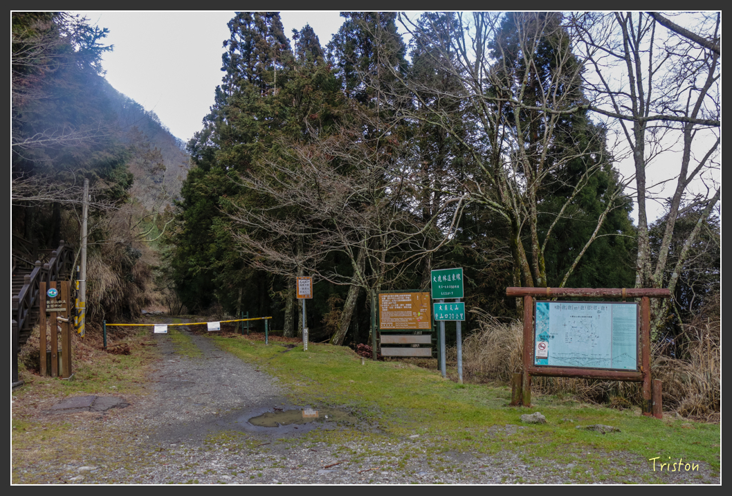 IMG_3330.jpg - 20160227 觀霧森林步道
