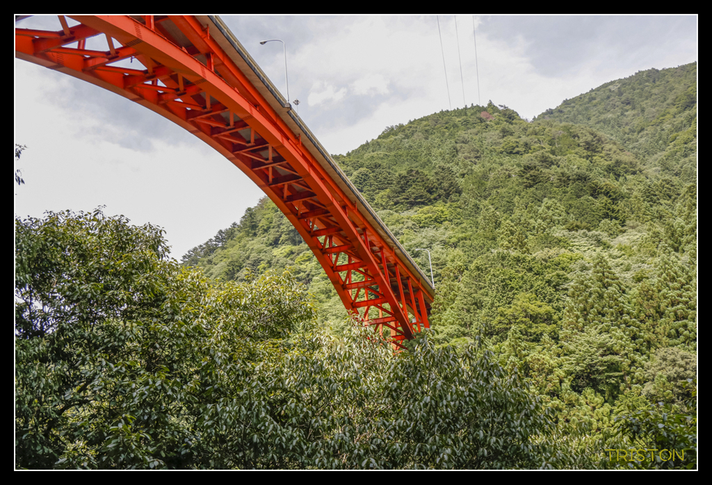 _MG_0463.jpg - 20170702 靜岡東海道之旅
