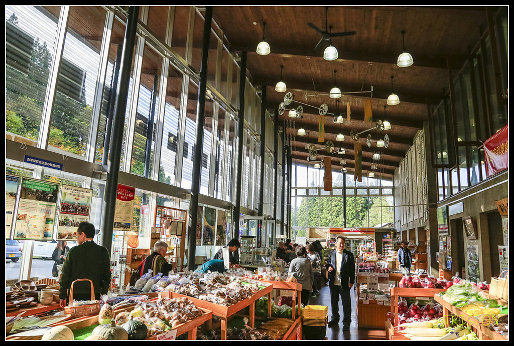 _H1A0608.jpg - 20171103 日本只見線、會津若松五色沼、昭和記念公園賞紅葉