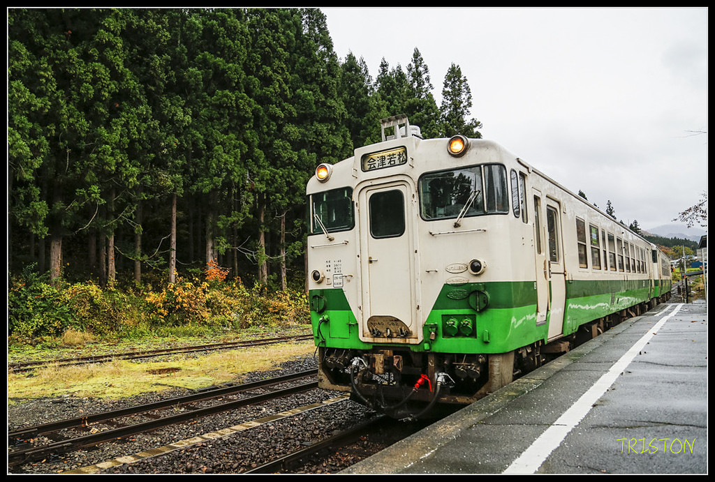 _H1A0812.jpg - 20171103 日本只見線、會津若松五色沼、昭和記念公園賞紅葉