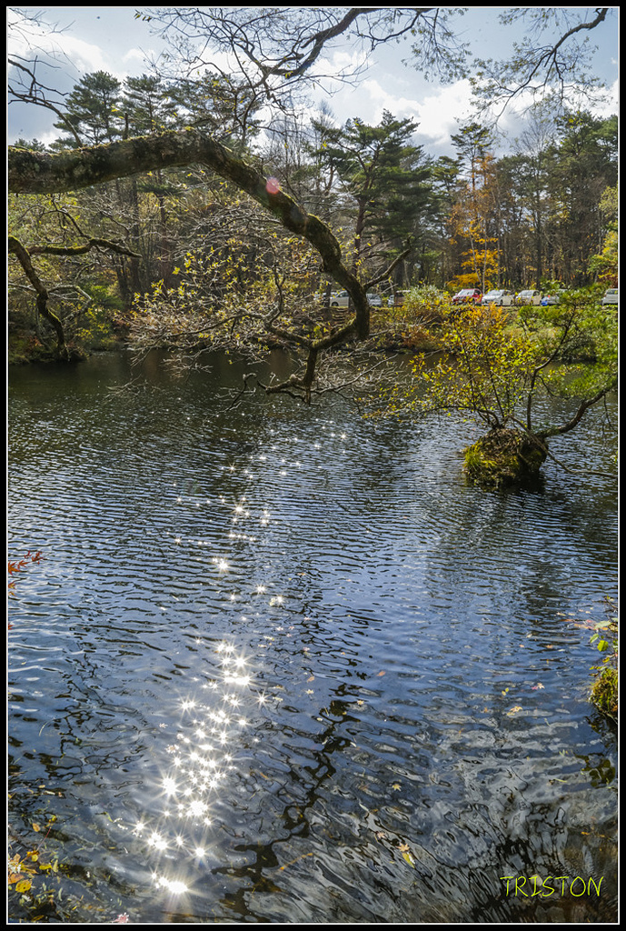 _H1A1372.jpg - 20171103 日本只見線、會津若松五色沼、昭和記念公園賞紅葉