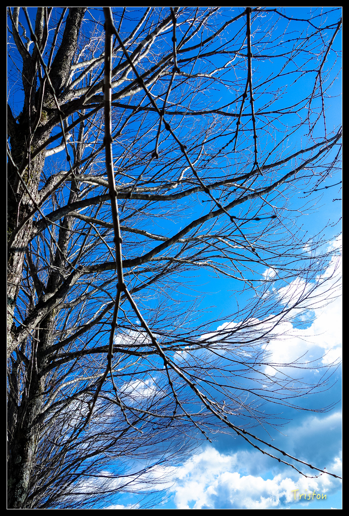 DSC00304.jpg - 20151031 秋天的童話-貴婦東京輕井澤紀行