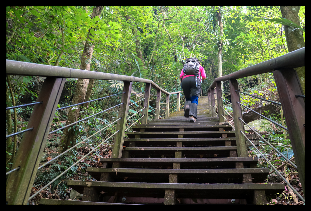 IMG_0708.jpg - 20151115 獨立山步道