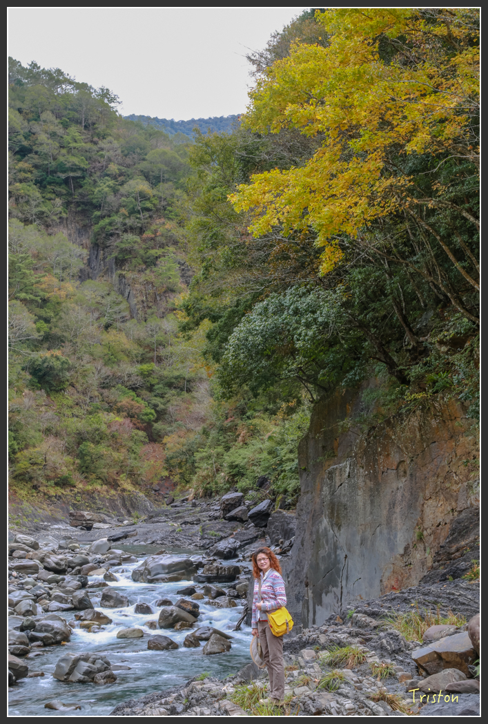 JH1A1244.jpg - 20151221 新竹秀巒賞楓