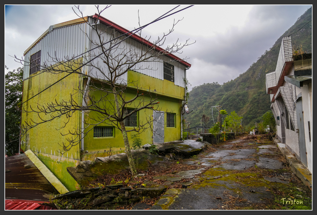 JH1A8125.jpg - 20160111 吉露、阿禮部落